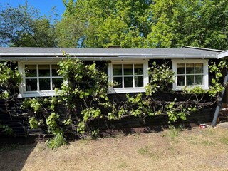 Vakantiehuis Hasle Buitenaudio-opname 4