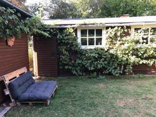 Vakantiehuis Hasle Buitenaudio-opname 12