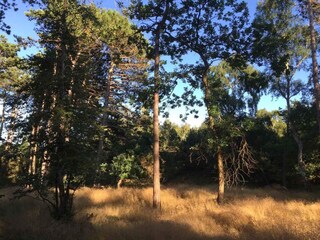 Holiday house Nykøbing Sjælland Outdoor Recording 8