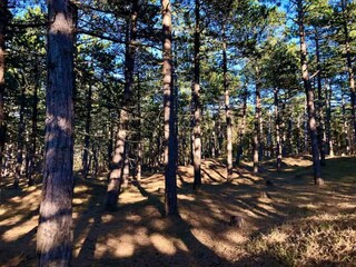 Holiday house Nykøbing Sjælland Outdoor Recording 5