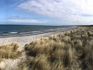 Ferienhaus Nykøbing Sjælland Außenaufnahme 12