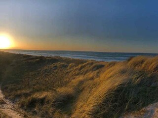 Ferienhaus Nykøbing Sjælland Außenaufnahme 13