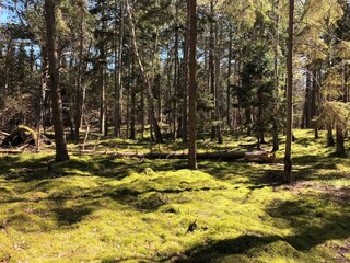 Holiday house Nykøbing Sjælland Outdoor Recording 14