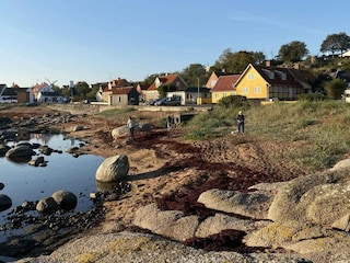 Vakantiehuis Svaneke Buitenaudio-opname 12