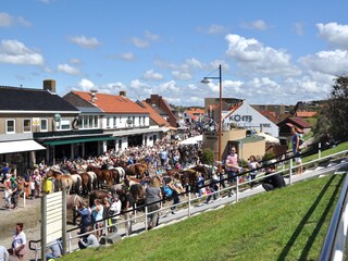 Terraced house Zoutelande Environment 11