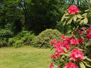 Vakantiehuis Liseleje Buitenaudio-opname 8