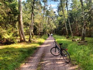 Vakantiehuis Liseleje  16