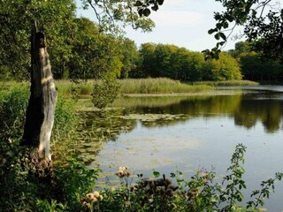 Vakantiehuis Liseleje  27