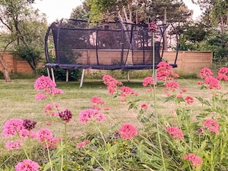 Holiday house Rønde Outdoor Recording 6