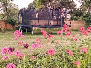 Vakantiehuis Rønde Buitenaudio-opname 6