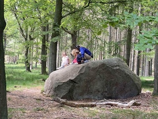 Ferienhaus Svaneke Außenaufnahme 7