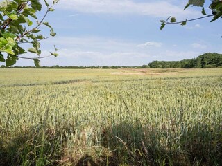 Holiday house Flovt Strand  28