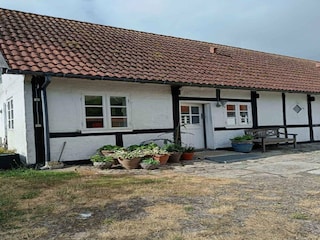 Ferienhaus Snogebæk Außenaufnahme 2