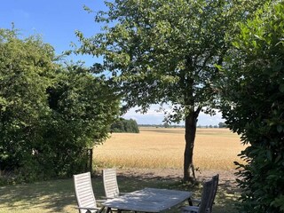 Ferienhaus Marielyst Außenaufnahme 7