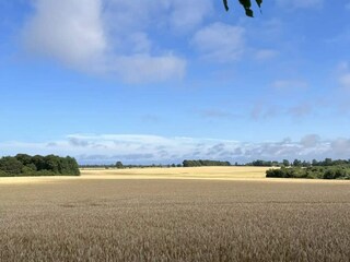 Ferienhaus Marielyst Außenaufnahme 8