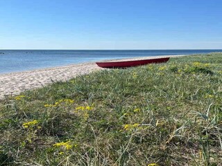 Ferienhaus Marielyst Außenaufnahme 2