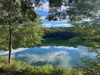 Ferienhaus Marielyst Außenaufnahme 3