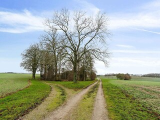 Ferienhaus Tuse Næs  25