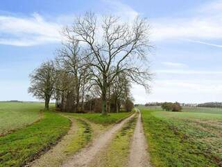 Vakantiehuis Tuse Næs  14