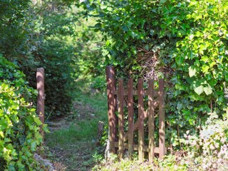 Vakantiehuis Svaneke Buitenaudio-opname 10