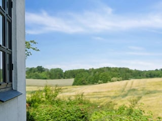 Ferienhaus Hasle Außenaufnahme 5