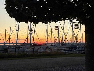 Ferienhaus Ebeltoft Außenaufnahme 2