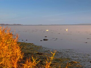 Ferienhaus Kalvehave  17