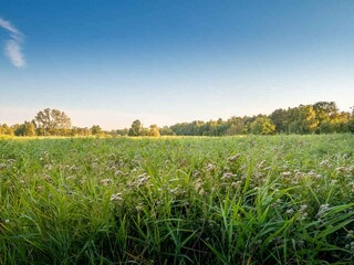 Holiday house Bjerge Strand  10