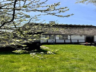 Ferienhaus Rødby Außenaufnahme 4