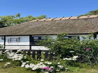 Ferienhaus Rødby Außenaufnahme 9