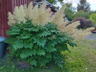 Vakantiehuis Vellerup  5