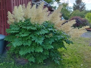 Holiday house Vellerup Outdoor Recording 2