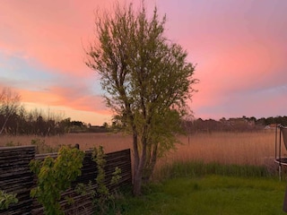 Ferienhaus Enø Außenaufnahme 10