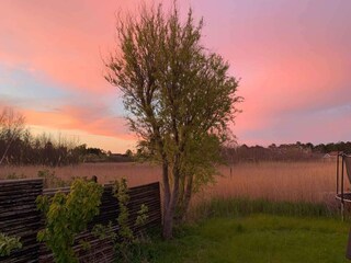 Vakantiehuis Enø Buitenaudio-opname 10