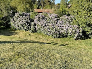 Holiday house Ebeltoft  4