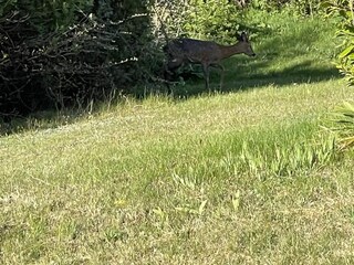 Holiday house Ebeltoft  7