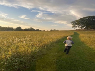 Holiday house Vordingborg  10