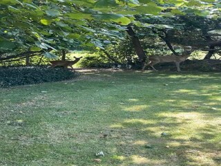 Holiday house Vordingborg  12