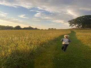 Ferienhaus Vordingborg  13