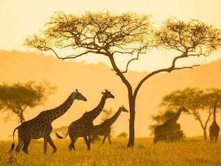 Vakantiehuis Nakskov Buitenaudio-opname 3