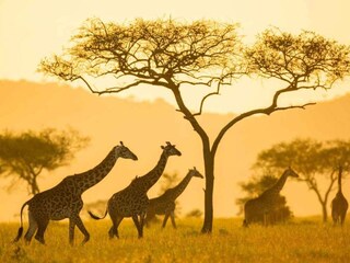 Holiday house Nakskov Outdoor Recording 3