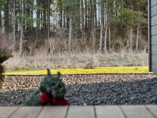 Ferienhaus Råbylille Strand  8