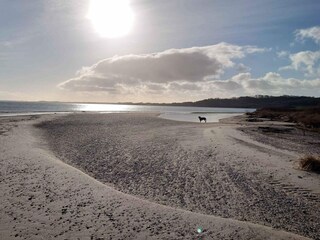 Vakantiehuis Eskov Strandpark Buitenaudio-opname 5
