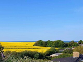 Holiday house Eskov Strandpark Outdoor Recording 7
