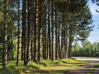 Vakantiehuis Marielyst Buitenaudio-opname 2