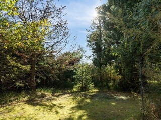 Vakantiehuis Marielyst Buitenaudio-opname 10