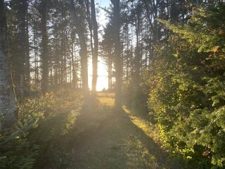 Ferienhaus Spøttrup  4