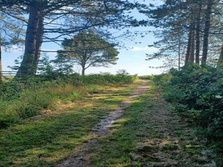Ferienhaus Asperup Außenaufnahme 5