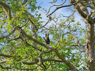 Holiday house Ullerslev Outdoor Recording 8