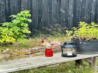 Holiday house Balka Strand Outdoor Recording 16